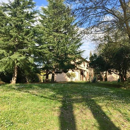 Agriturismo Bethsaid Fauglia Exteriör bild