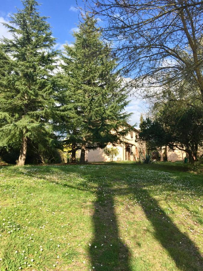 Agriturismo Bethsaid Fauglia Exteriör bild